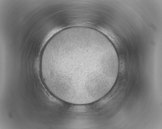 X0000115151094200912081341