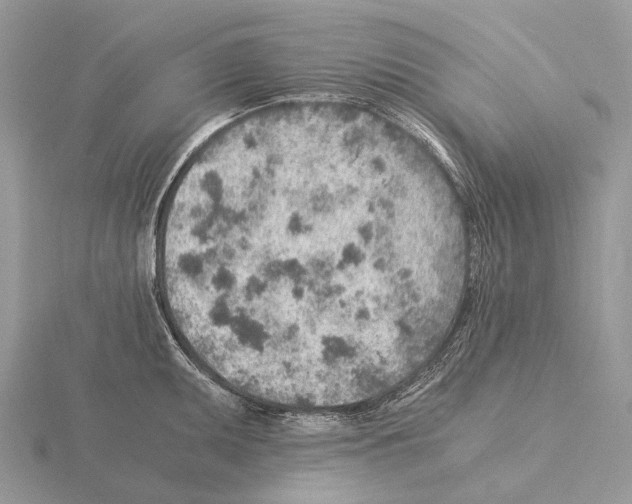 X0000115151095200912081341