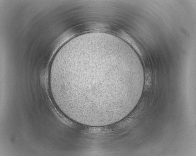 X0000115151098200912081341