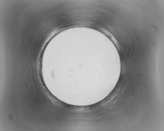 X0000115151099200912081341