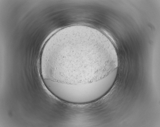 X0000115151100200912081341