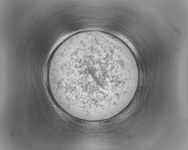 X0000115151101200912081341