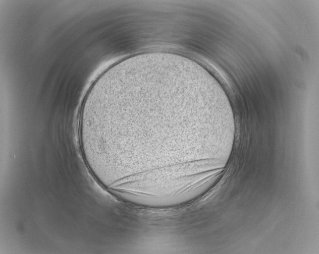 X0000115151102200912081341