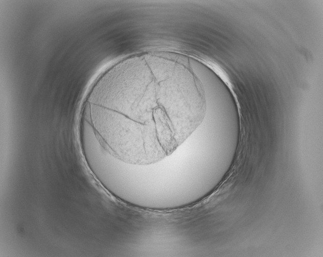 X0000115151104200912081341