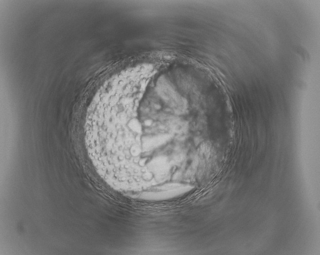 X0000115151105200912081341