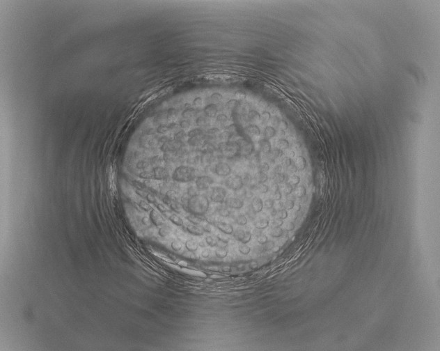 X0000115151106200912081341