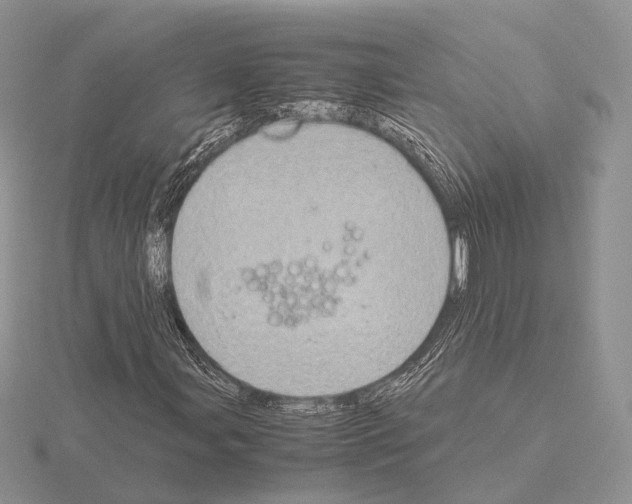 X0000115151107200912081341