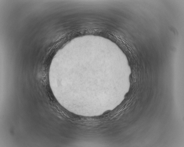 X0000115151109200912081341