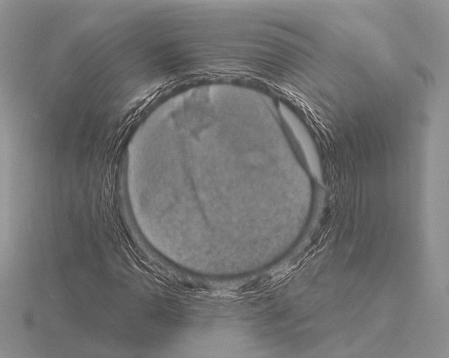 X0000115151110200912081341