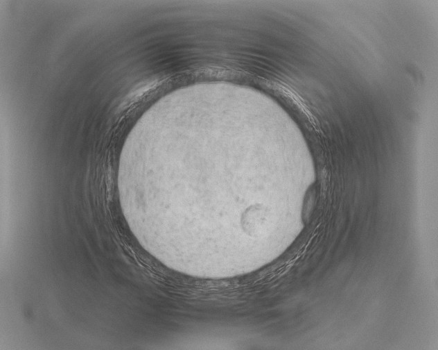 X0000115151111200912081341