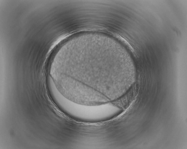 X0000115151114200912081341