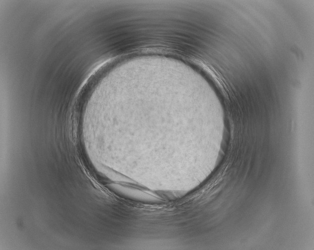 X0000115151115200912081341