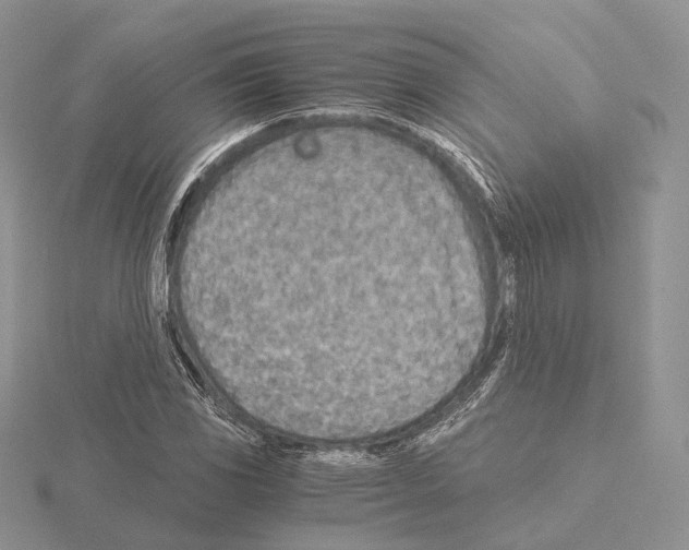 X0000115151117200912081341