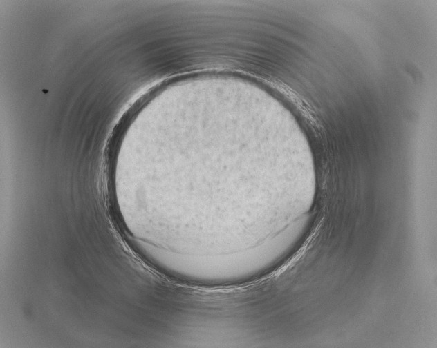 X0000115151118200912081341