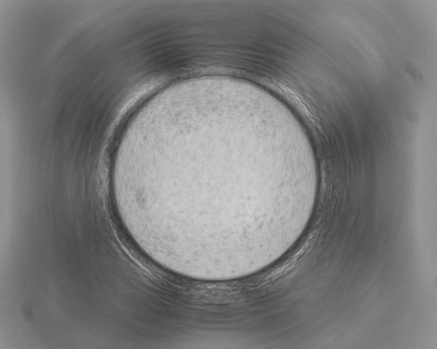 X0000115151119200912081341