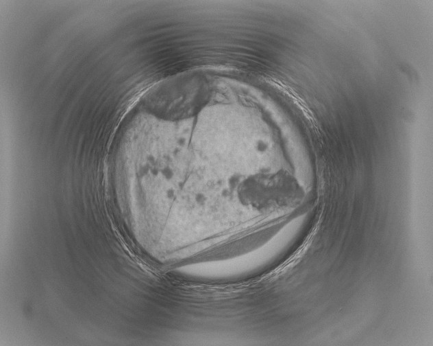 X0000115151121200912081341