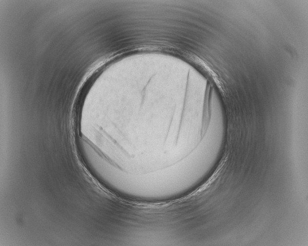 X0000115151122200912081341