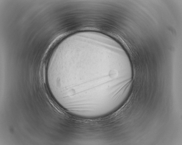 X0000115151123200912081341