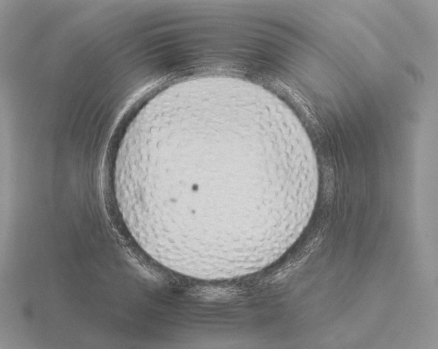 X0000115151125200912081341