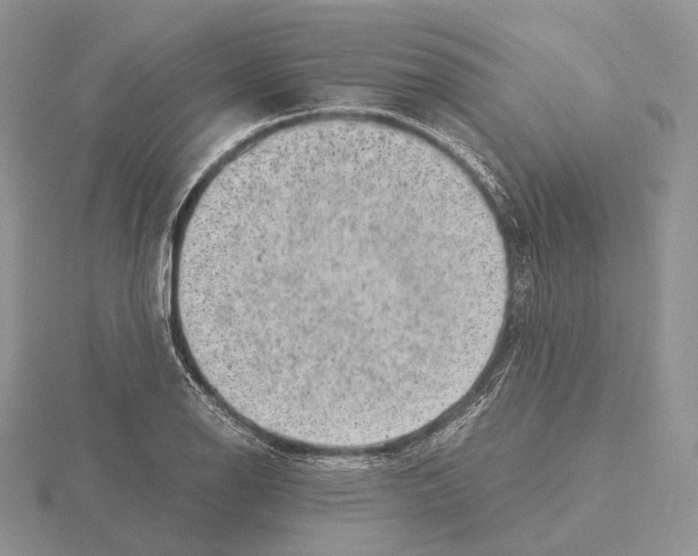 X0000115151126200912081341