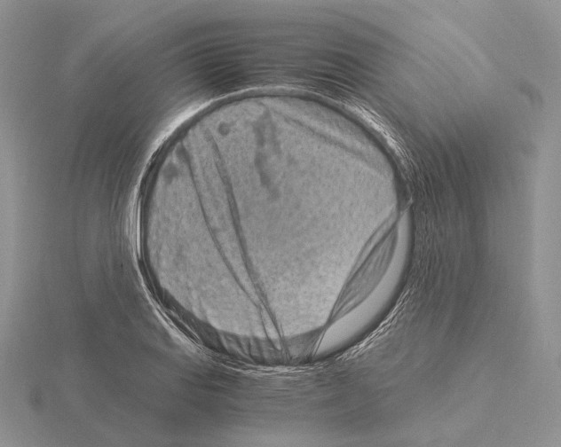 X0000115151127200912081341