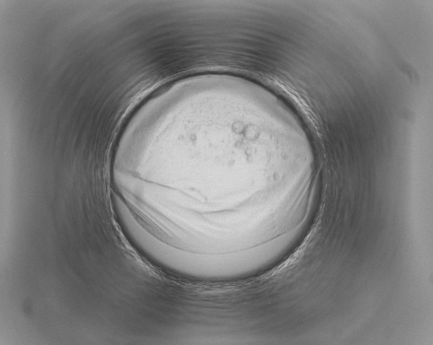 X0000115151129200912081341