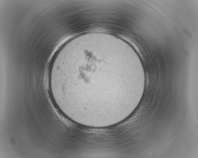 X0000115151131200912081341