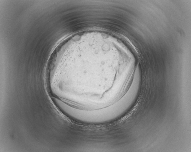 X0000115151133200912081341