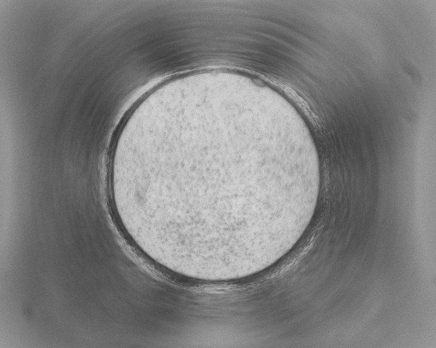 X0000115151134200912081341