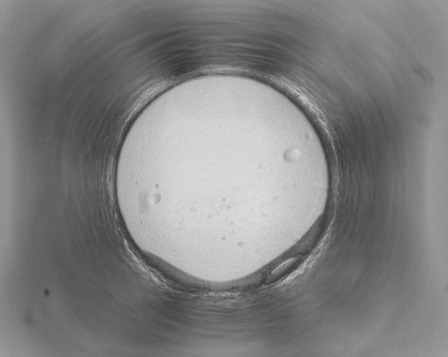 X0000115151137200912081341