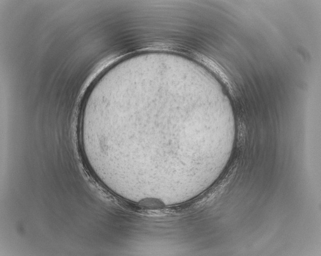 X0000115151138200912081341