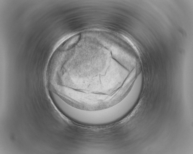 X0000115151141200912081341