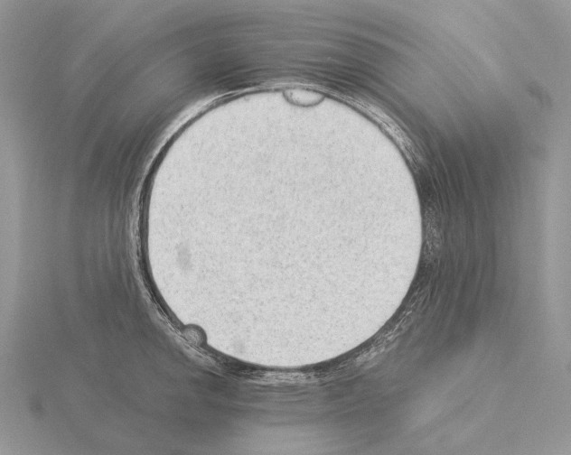 X0000115151142200912081341