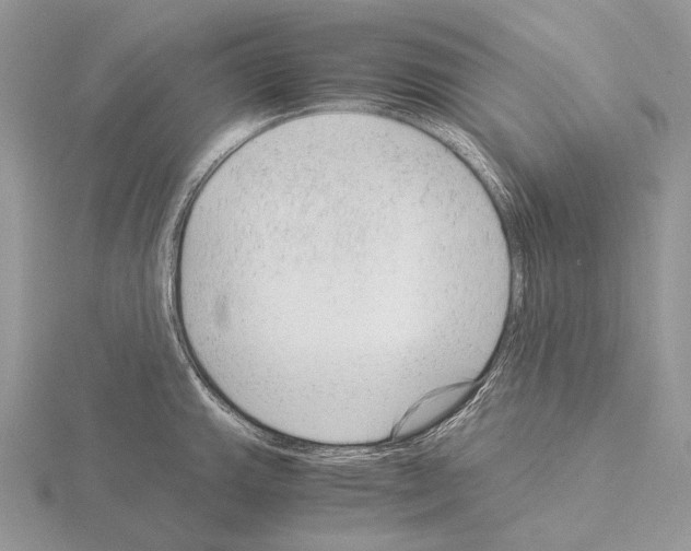 X0000115151143200912081341