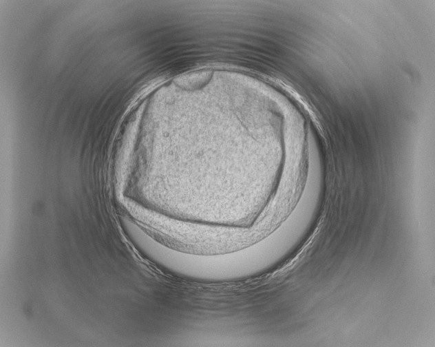 X0000115151145200912081341