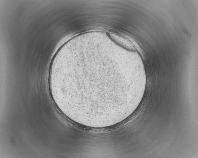 X0000115151146200912081341