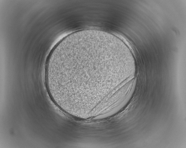 X0000115151147200912081341