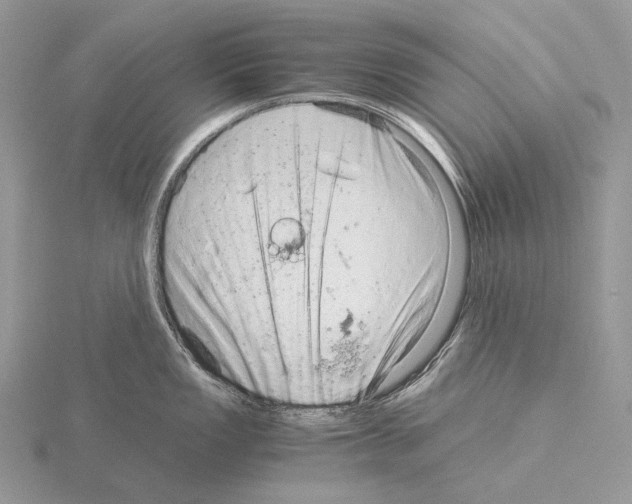 X0000115151149200912081341