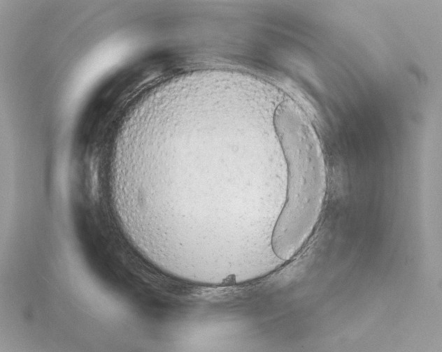 X0000115151150200912081341