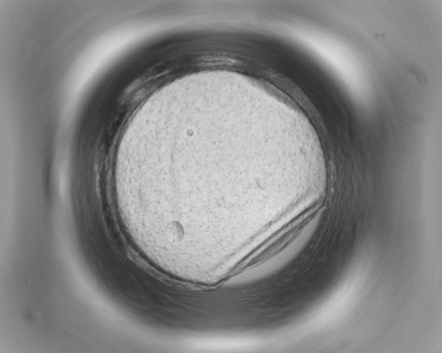 X0000115151151200912081341