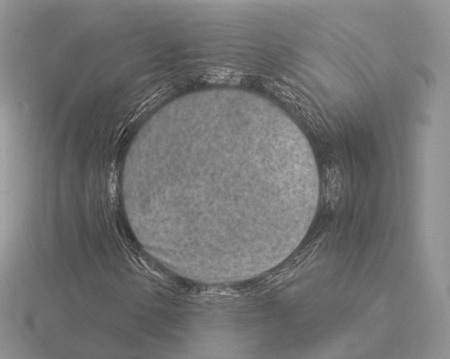 X0000115151154200912081341