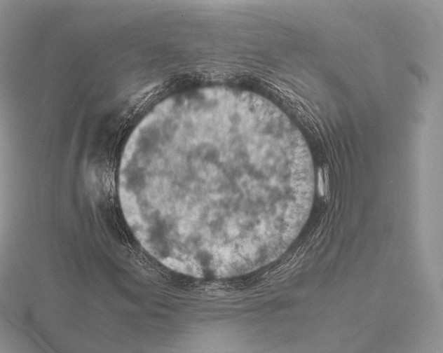 X0000115151155200912081341