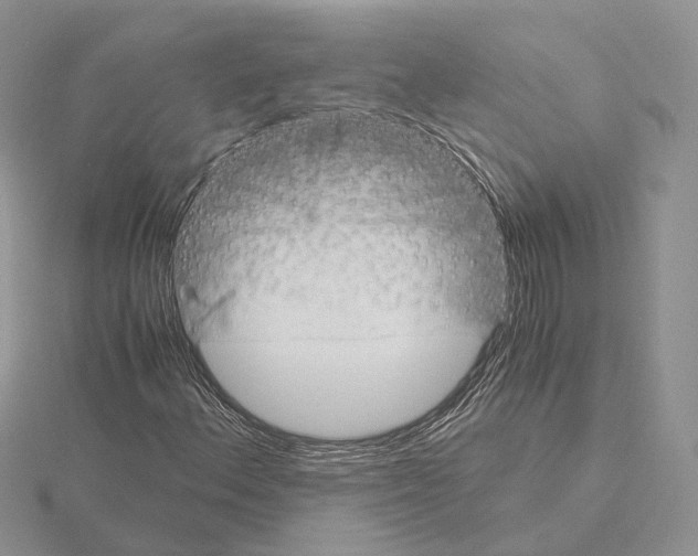 X0000115151156200912081341