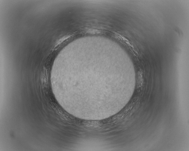 X0000115151158200912081341