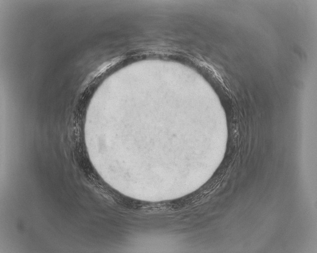 X0000115151159200912081341