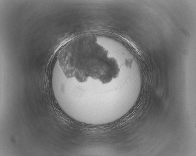 X0000115151160200912081341