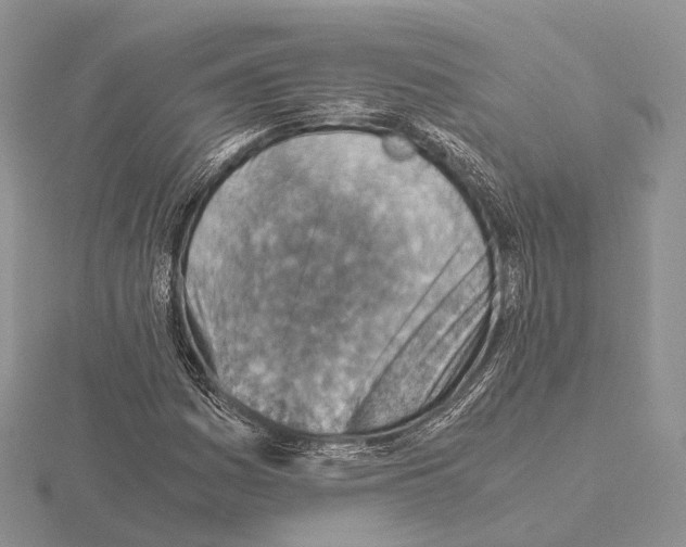 X0000115151161200912081341