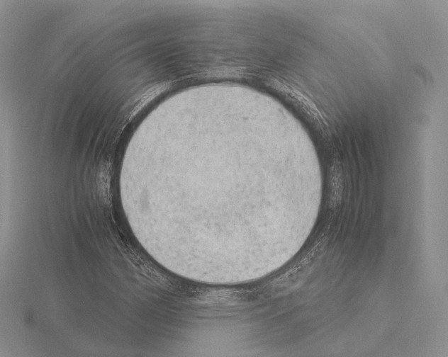 X0000115151162200912081341