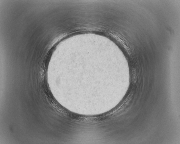 X0000115151163200912081341