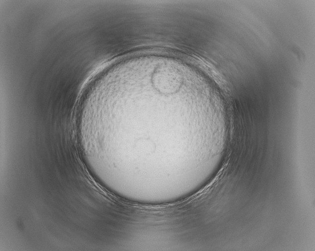 X0000115151164200912081341